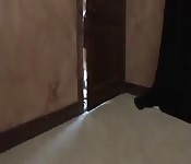 Horny Bitch Allows Dick