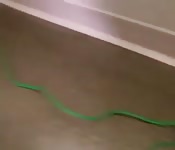 Verheiratete Angestellte nimmt von ITler alles mit