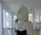 Beautiful Pakistani teen enjoying an interracial doggy style bang