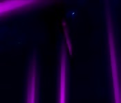 Two babes grinding session